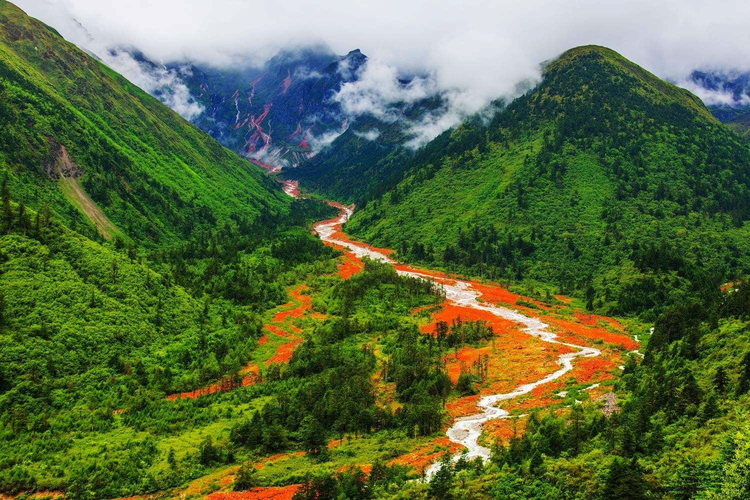 四川自然美景探索之旅,追寻内心的平和与喜悦