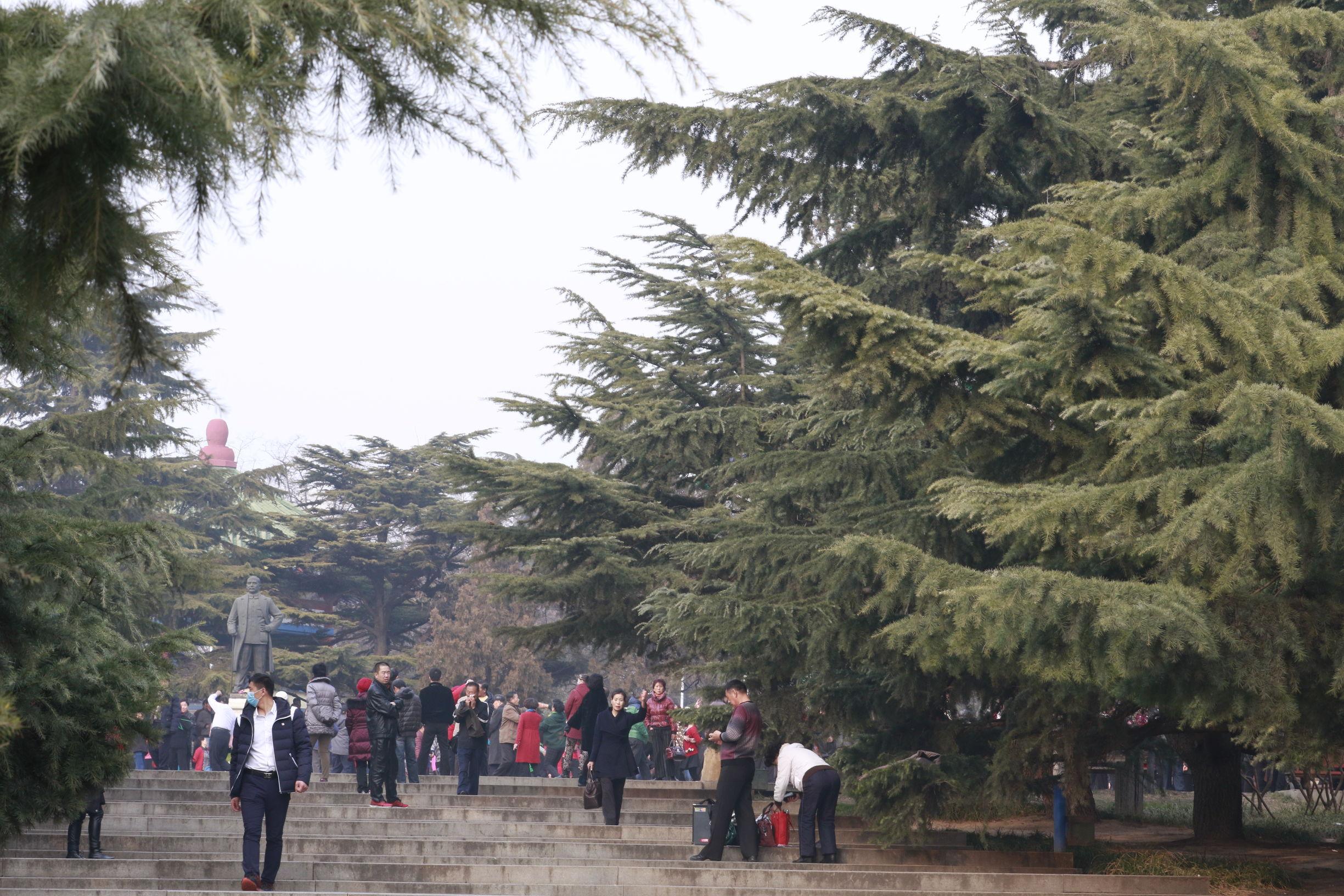 大连的魅力与风情