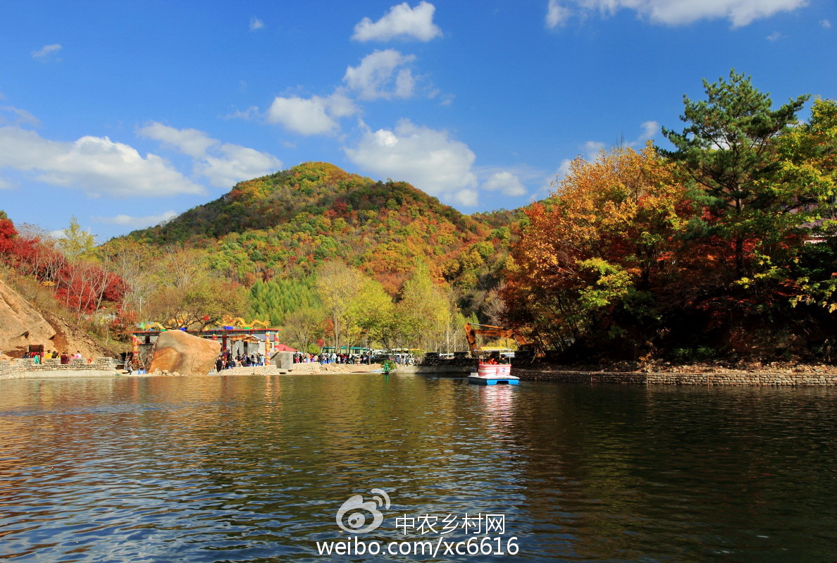 本溪小巷独特风味探寻之旅