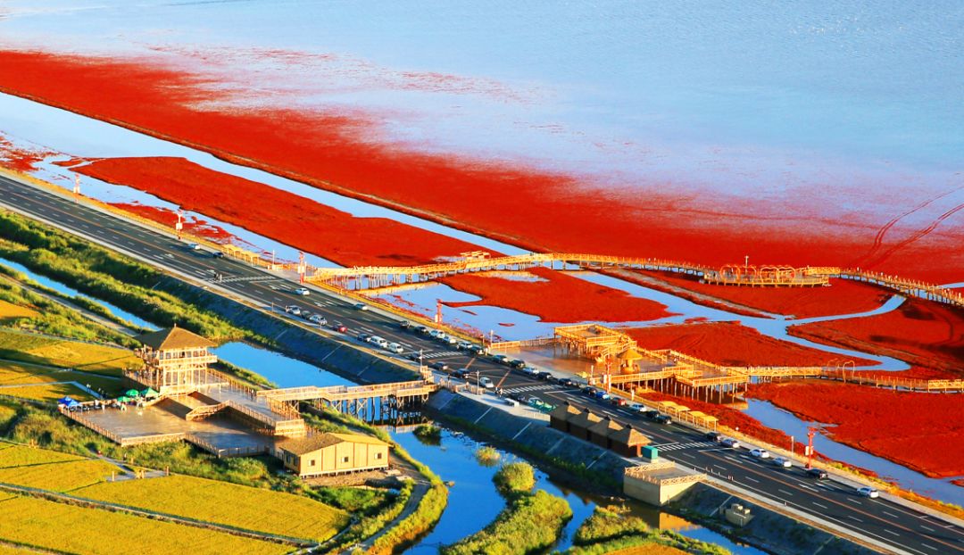 盘锦，美丽土地的魅力与风采